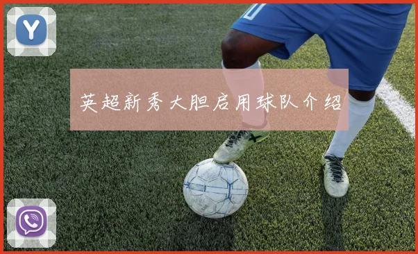 英超新秀大胆启用球队介绍
