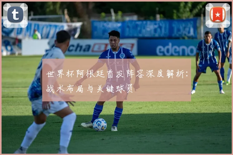 世界杯阿根廷首发阵容深度解析：战术布局与关键球员