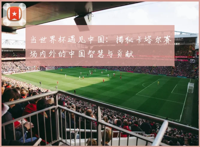 当世界杯遇见中国：揭秘卡塔尔赛场内外的中国智慧与贡献