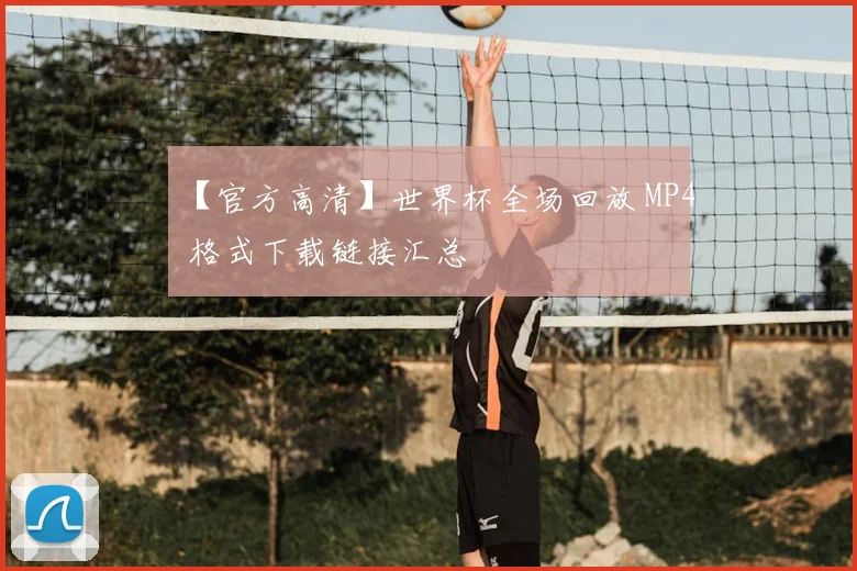【官方高清】世界杯全场回放 MP4 格式下载链接汇总