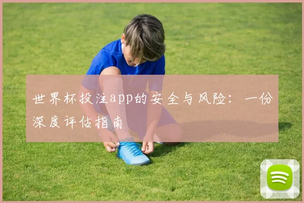 世界杯投注app的安全与风险：一份深度评估指南