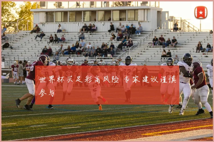 世界杯买足彩高风险 专家建议谨慎参与