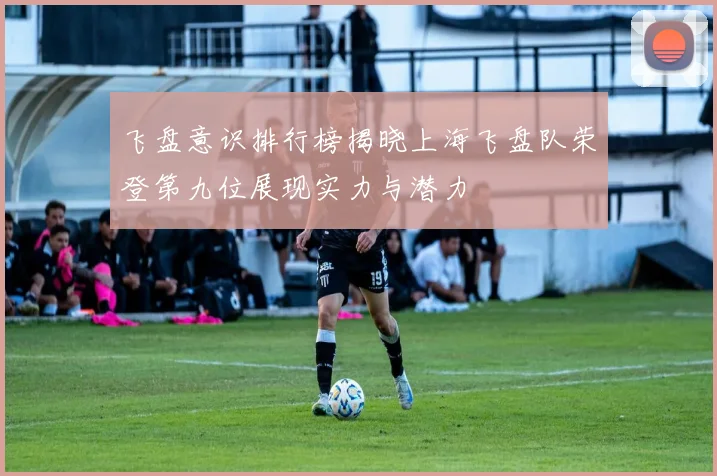 飞盘意识排行榜揭晓上海飞盘队荣登第九位展现实力与潜力