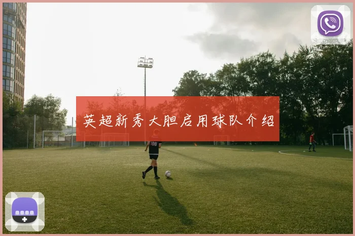 英超新秀大胆启用球队介绍
