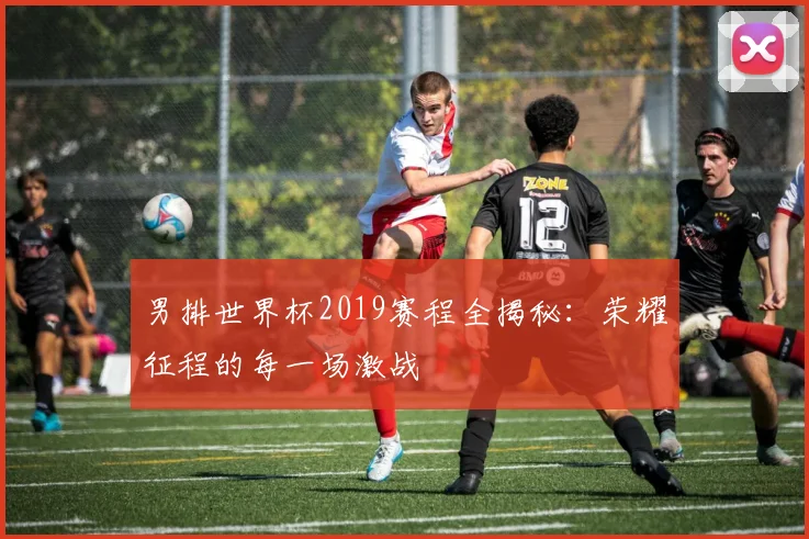 男排世界杯2019赛程全揭秘:荣耀征程的每一场激战